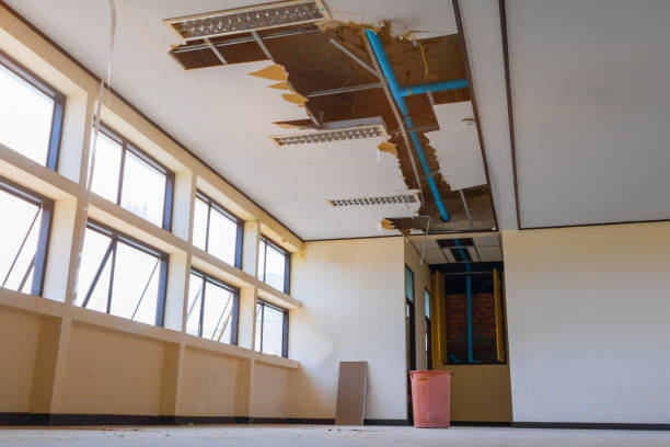 Best Basement water damage restoration  in Austintown, OH