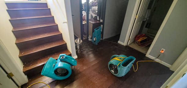 Best Ceiling water damage repair  in Austintown, OH