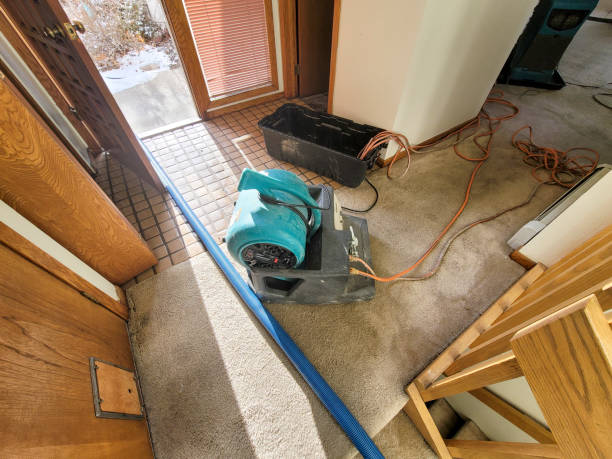 Best Sewage cleanup and water damage restoration  in Austintown, OH