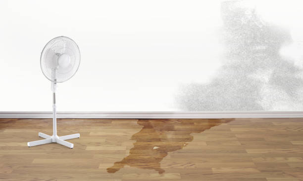 Best Commercial water damage restoration  in Austintown, OH