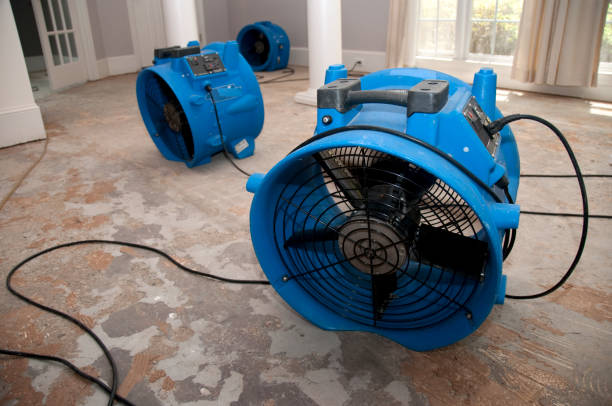 Best Water damage cleanup near me  in Austintown, OH