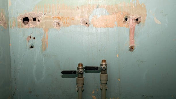 Best Flooded house restoration  in Austintown, OH
