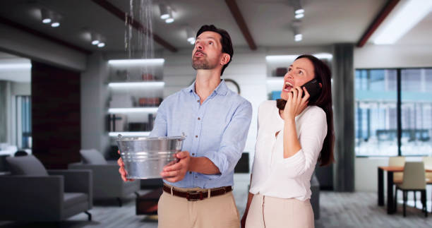 Best Flood damage cleanup  in Austintown, OH